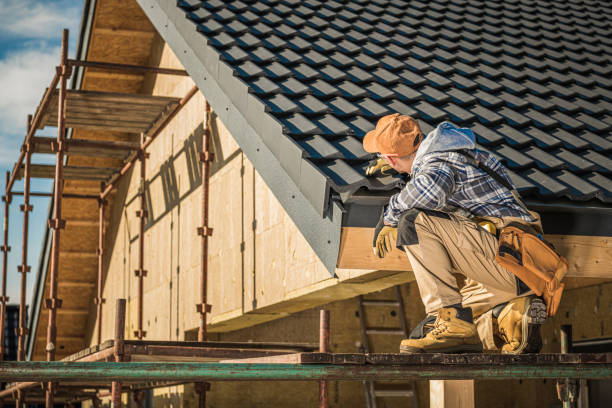 Best Skylight Installation and Repair  in Shell Valley, ND